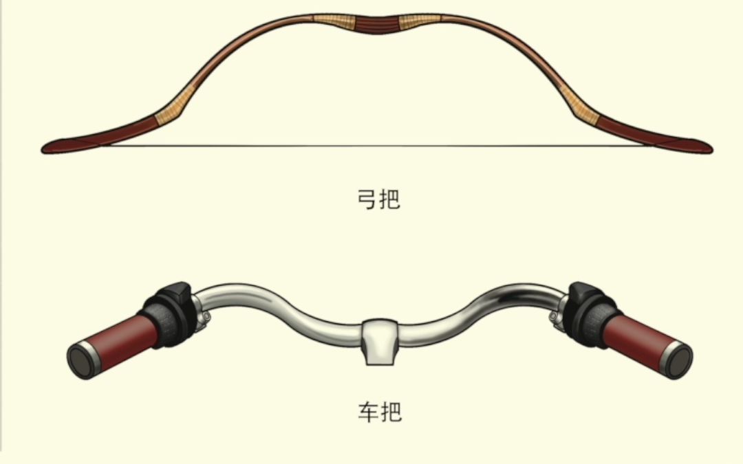 胸骨与锁骨：你认为你了解它们吗？