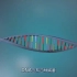 【生物动画】DNA的复制过程