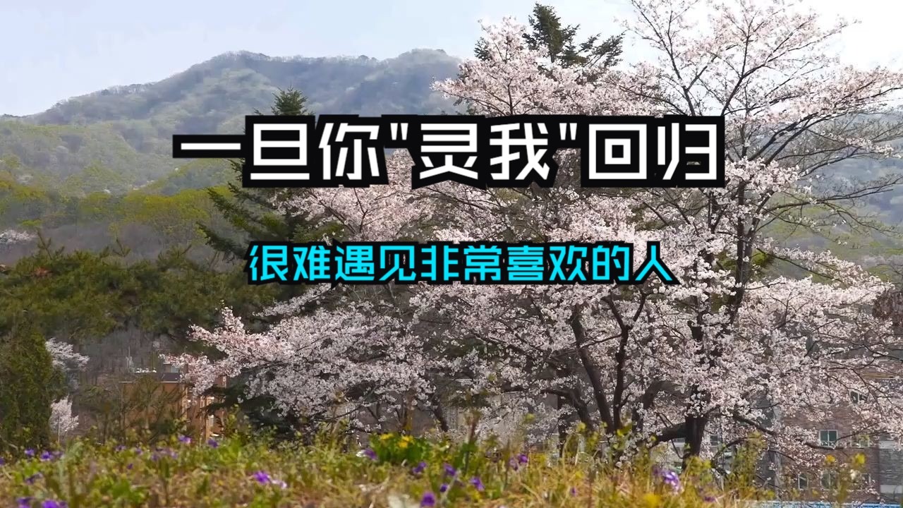 一旦你"灵我"回归，很难遇见非常喜欢的人！遇不到喜欢的人，不是你朋友少，而是你灵性太高！