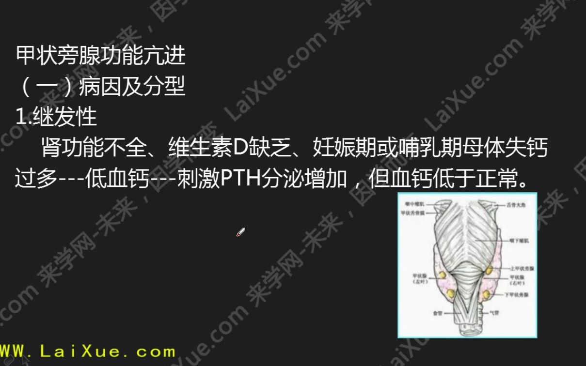 来学网来学教育整形外科学中级基础知识习题讲解308哔哩哔哩 (゜゜)つロ 干杯~bilibili