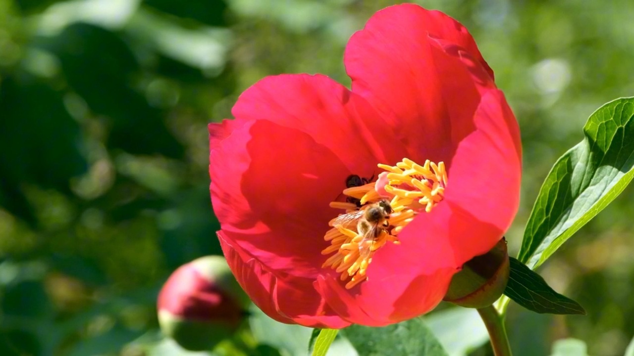 如何跳脱既定命运的束缚，实现真正的人生自由呢？大部分人都不知道的一个核心法则！