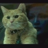 你管这玩意叫猫？？？《惊奇队长》噬元兽高清片段分享，《复仇者联盟4：终局之战》