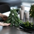 15分钟！DIY一颗低成本的迷你圣诞树