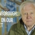 [英语中字][Netflix纪录片]大卫·爱登堡：地球上的一段生命旅程 David Attenborough: A Li