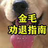金毛劝退