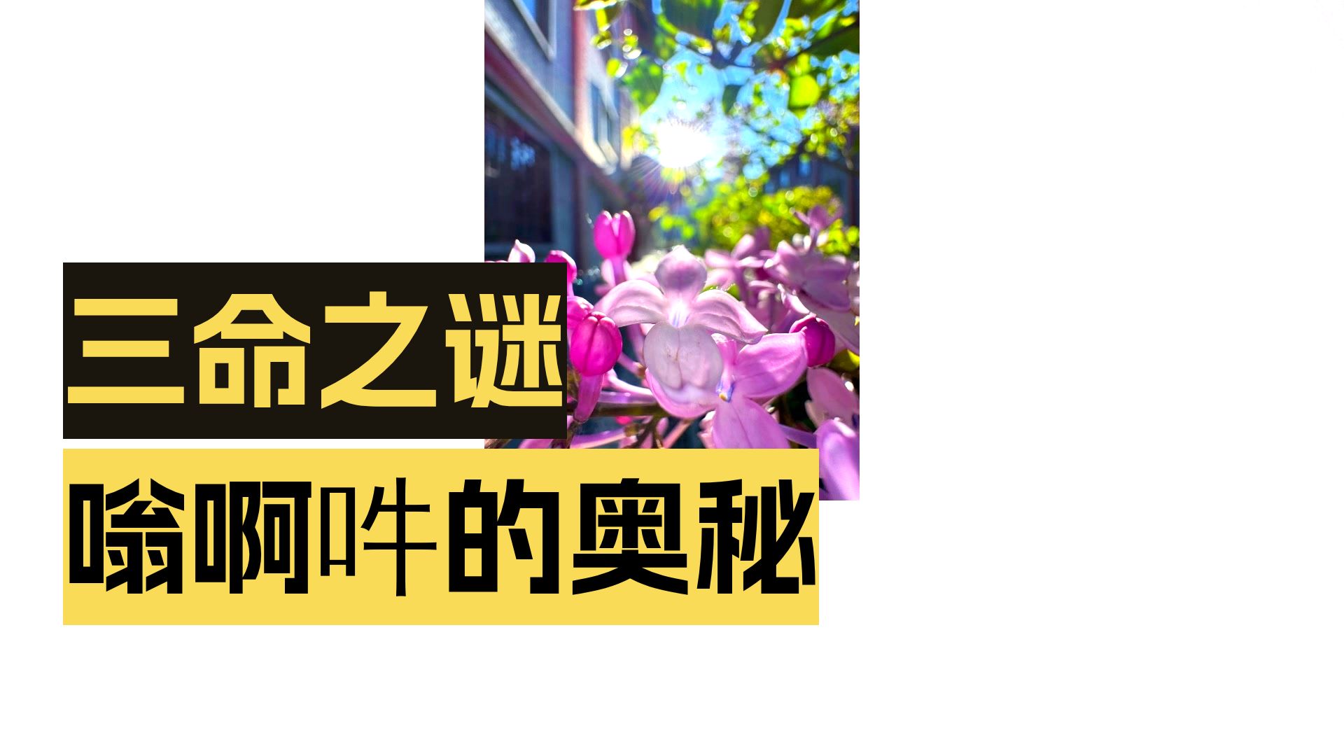 体佛法师开示：三密