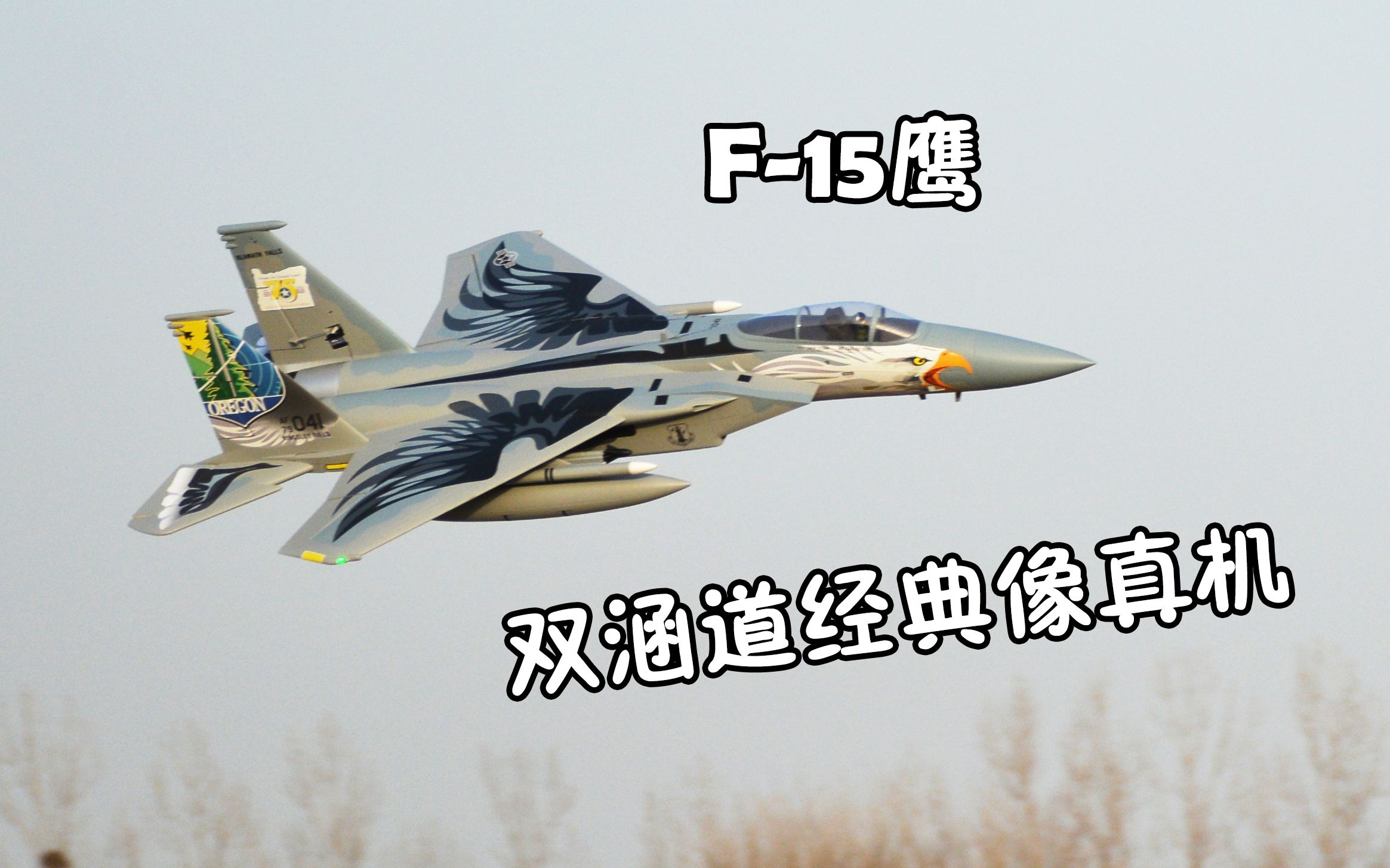 【航模测评】经典机型F-15，超好飞的双64涵道蓝箭航模像真机