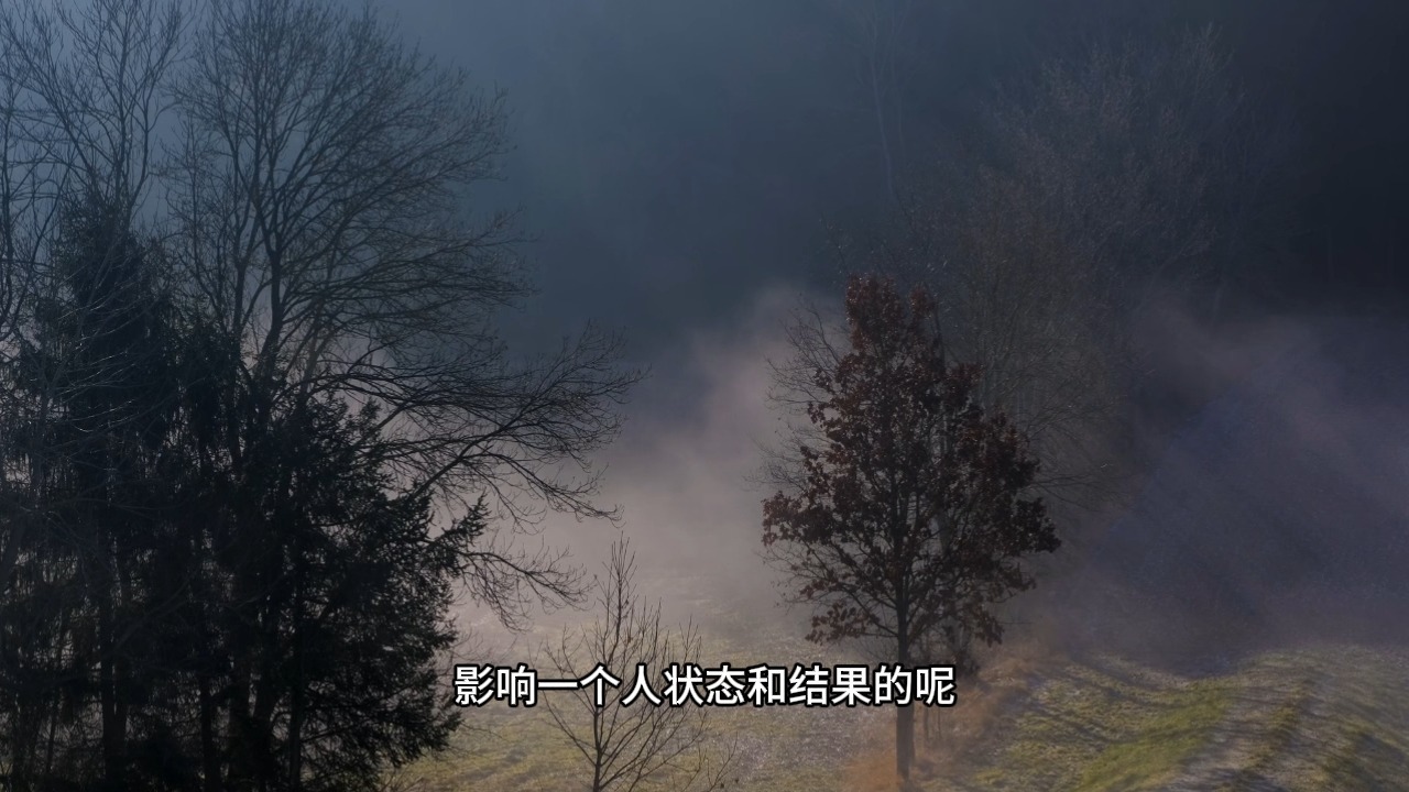 怎样才能活出想要的生命状态呢？调节生命状态的终极奥秘：力有所用、气有所畅、神有所聚！