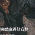 《静悄悄》小白翻唱