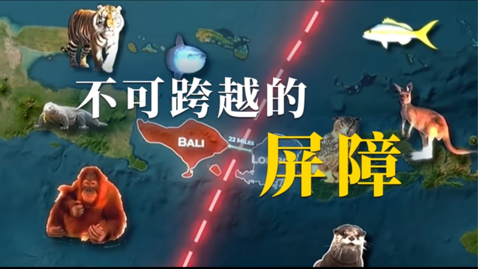 近在咫尺，却不可跨越的生命分水岭