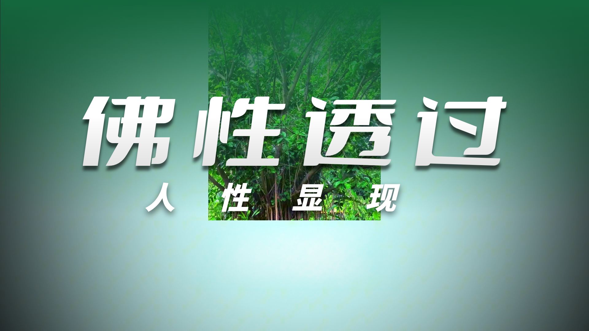 体佛法师开示：人身难得