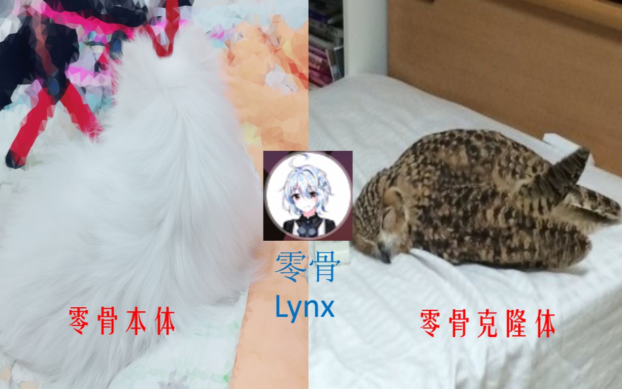 零骨lynx安利向b站三不怂不进来看看