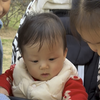 上小学的抢不过，穿尿不湿的又不愿意跟他们玩，人类幼崽真是有趣