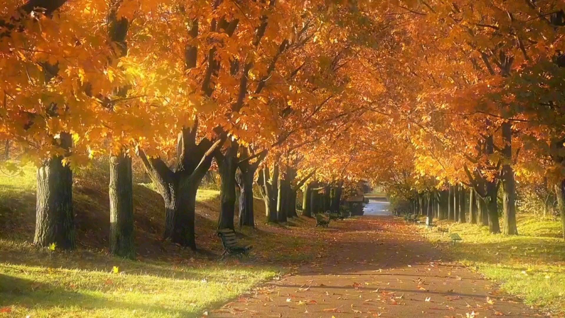 “我言秋日胜春朝”