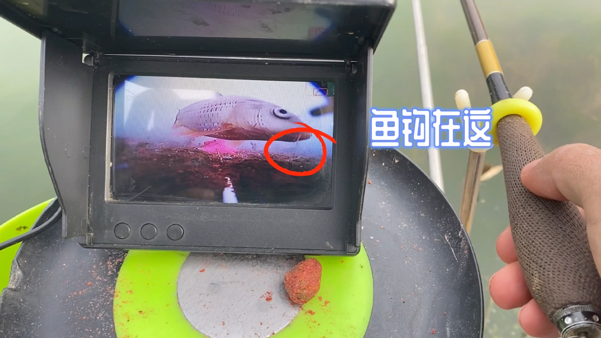 千万不要买水下摄像头，今天使用一下午，腿都要拍肿了！