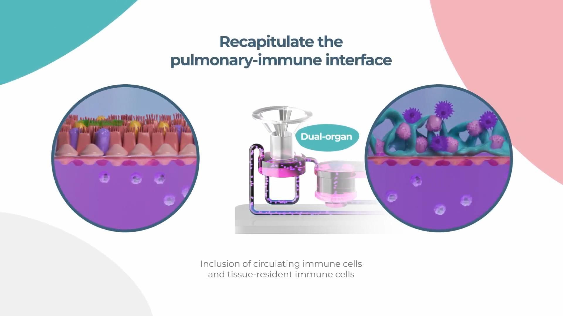 CN Bio微流控器官芯片系统肺/肝双器官芯片模型展示_上海曼博生物