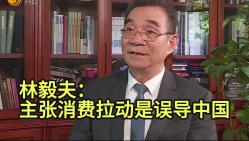林毅夫：主张消费拉动是误导中国 ！