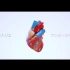 ワンミーツハー DVD初回特典 四人演奏视频 （one me two hearts）