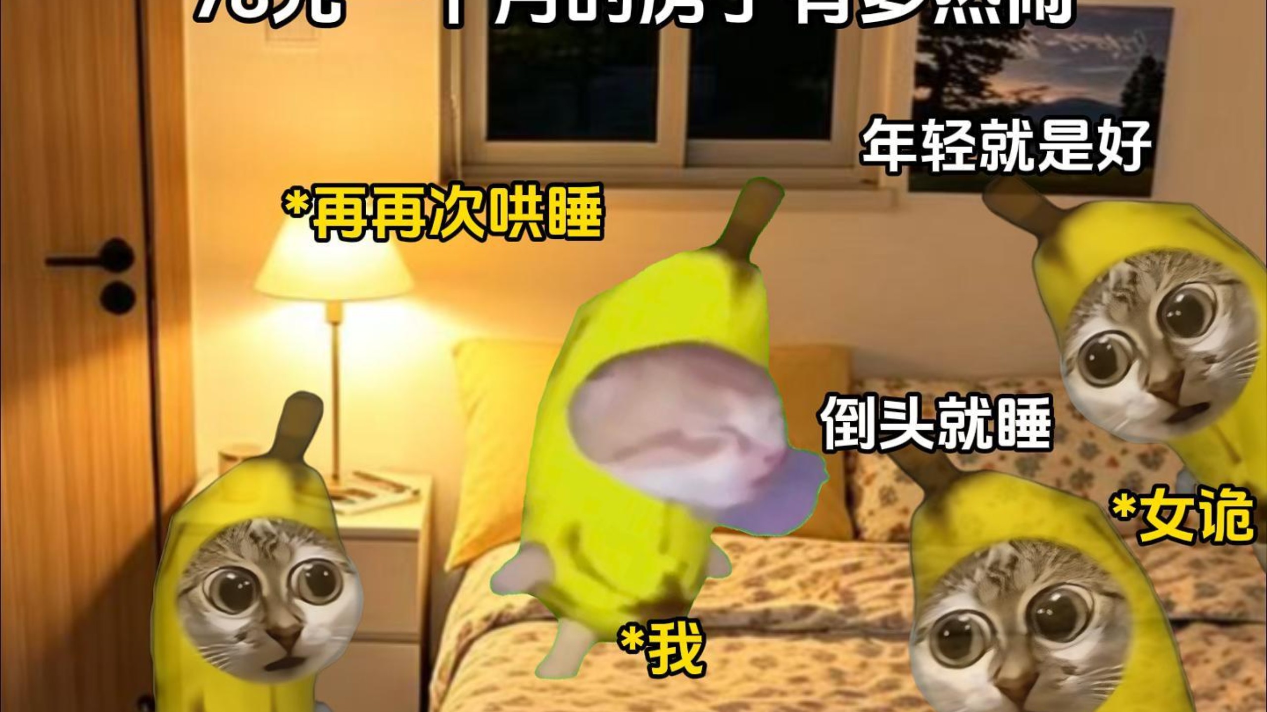78元一个月的房子有多热闹