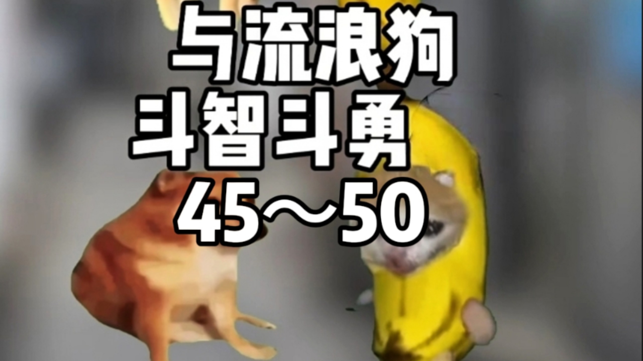 与流浪狗斗智斗勇45～50合集