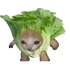 The lettuce Cat