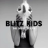 【完整伴奏】Run For Cover (Instrumental) - Blitz Kids 有为青年