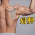 【健身必学】肩胛骨功能提升训练｜6个动作