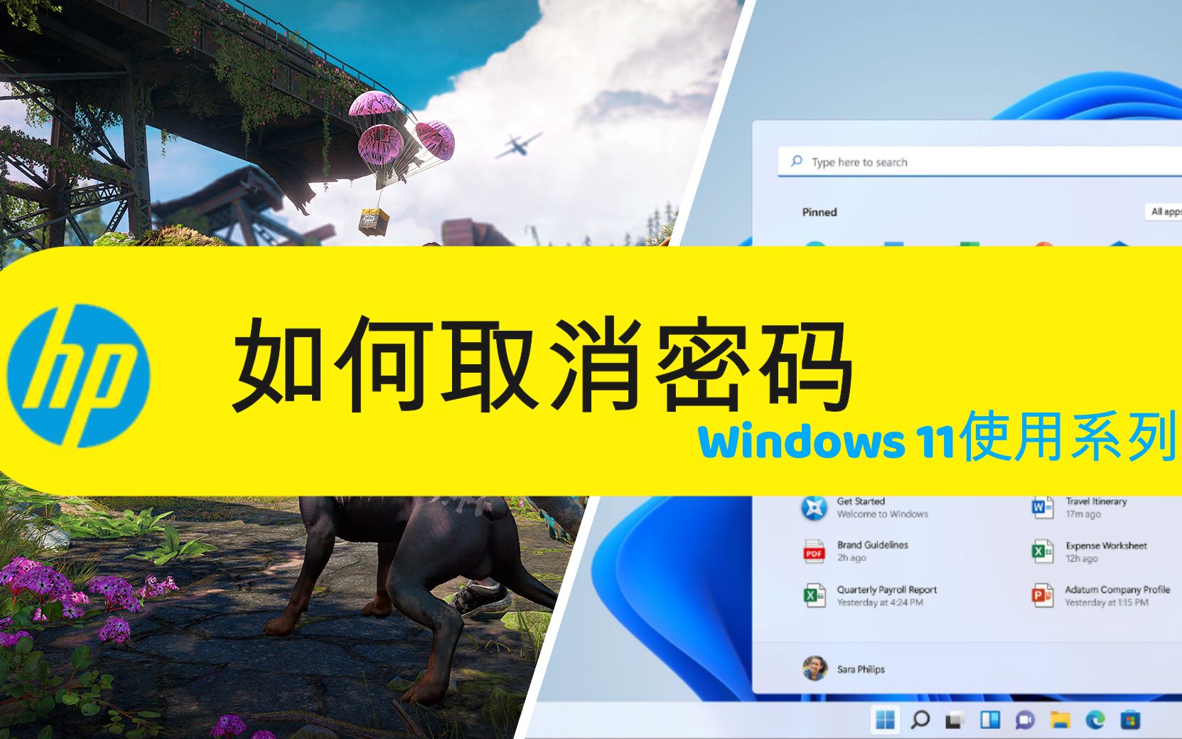 Windows 11使用系列之【如何取消开机密码】惠普笔记本教程