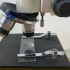 光学显微镜的使用方法