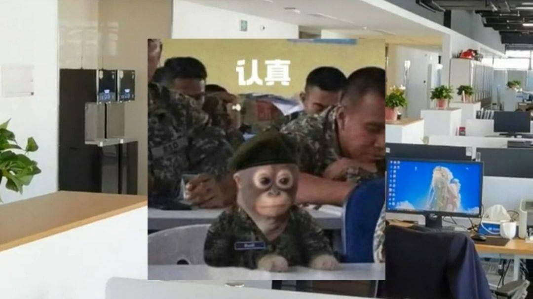 用了它，它会成为你的专属工作搭子~