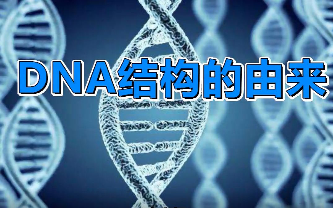 dna双螺旋结构的由来 哔哩哔哩 つロ干杯 bilibili