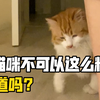 不让妈宝喵撒娇的后果：被吼