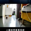 主人不在家 监控摄像头一样能千里之外远程看家看管宠物日常 智能监控头高清夜视手机远程监控宠物 萤石监控头人形检测跟踪也支持  #室内监控  #萤石监控  #监控