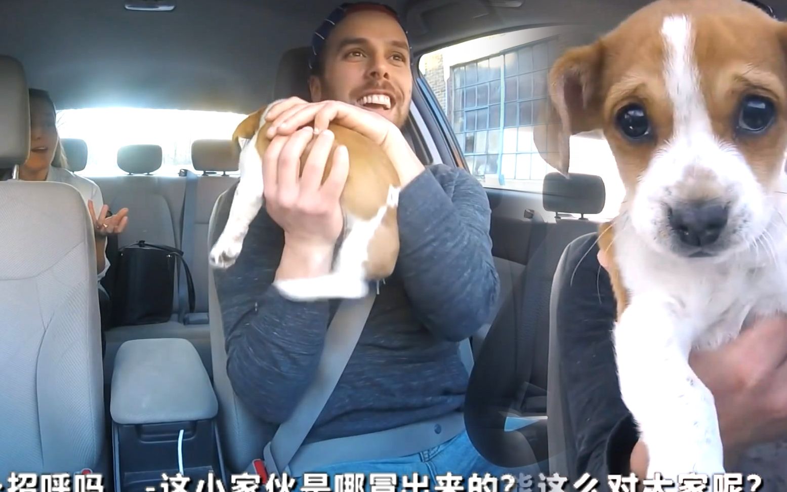 一位外国Uber司机带狗狗上班看乘客们的反应，结果不出所料，大家都是爱狗人士