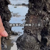 七猫-舔狗反派只想苟，女主不按套路走！-1016-wjl