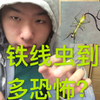 铁线虫到底多可怕？会威胁人类？揭晓铁线虫真面目