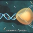 【生物动画】DNA的半保留复制