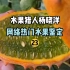 【水果猎人】网络热门水果鉴定23