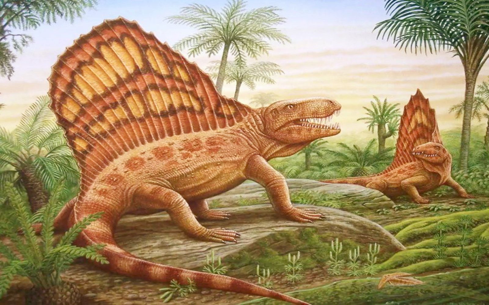 滑齿龙 平滑侧齿龙 恐龙 蜥脚类 巨型 怪物 生物 蜥蜴 远古生物 灭绝的动物 古生物-cg模型免费下载-CG99