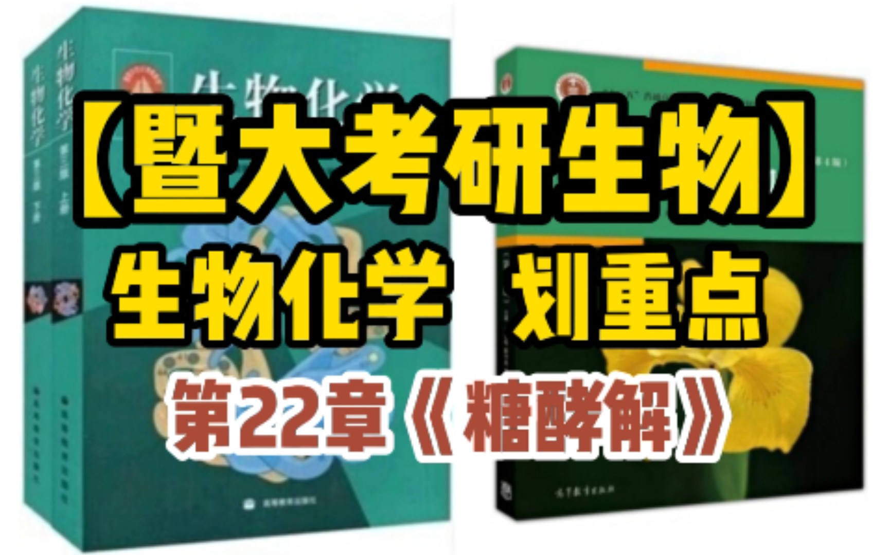 【暨南大学生物考研】生物化学划重点:第22章《糖酵解》哔哩哔哩bilibili