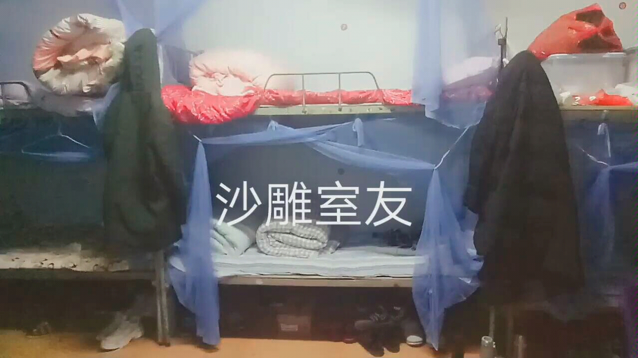 沙雕室友日常欢乐多