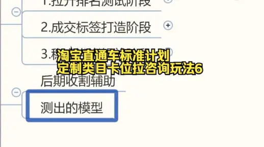 淘宝直通车标准计划定制类目卡位拉咨询玩法6