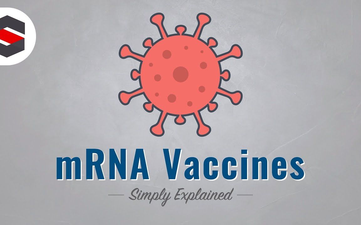 mRNA疫苗如何发挥作用 | 医学动画 | 双语字幕