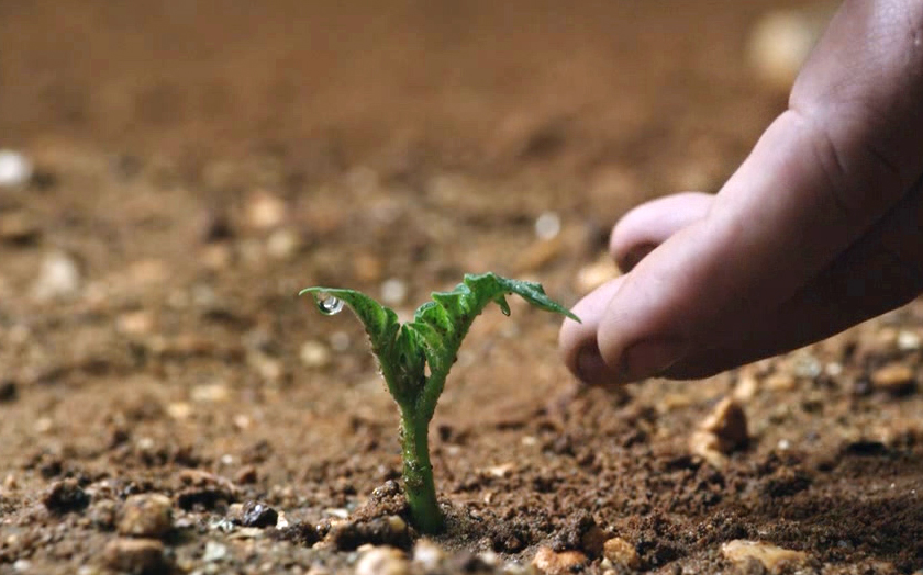 【越哥】男子被遗忘在火星上，靠种植一种农作物生存了561天，方法有点恶心！