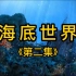 《海底世界》第二集 海底是否没有一点儿声音呢?不是的。海底的动物常常在窃窃私语。