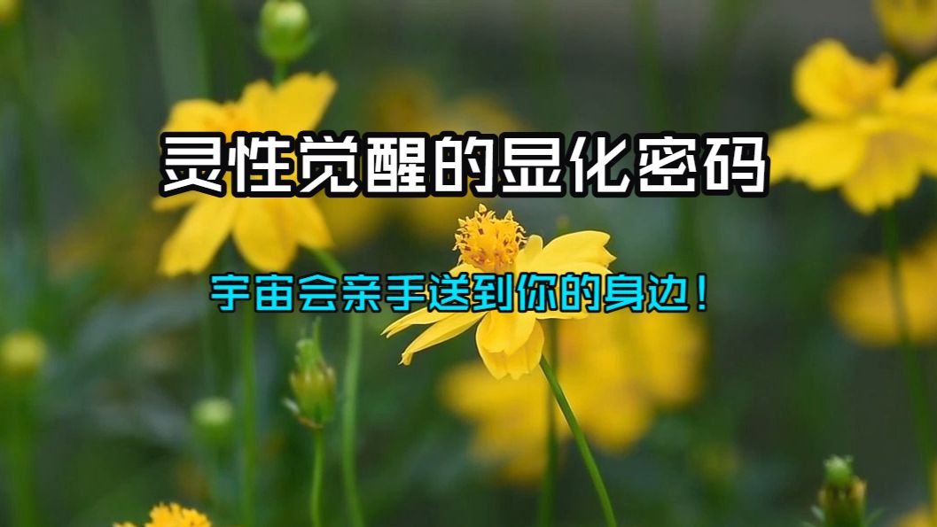 灵性觉醒的显化密码！教你放松并全然信任宇宙，高维同频后，天选者想要的一切，宇宙会亲手送到你的身边！