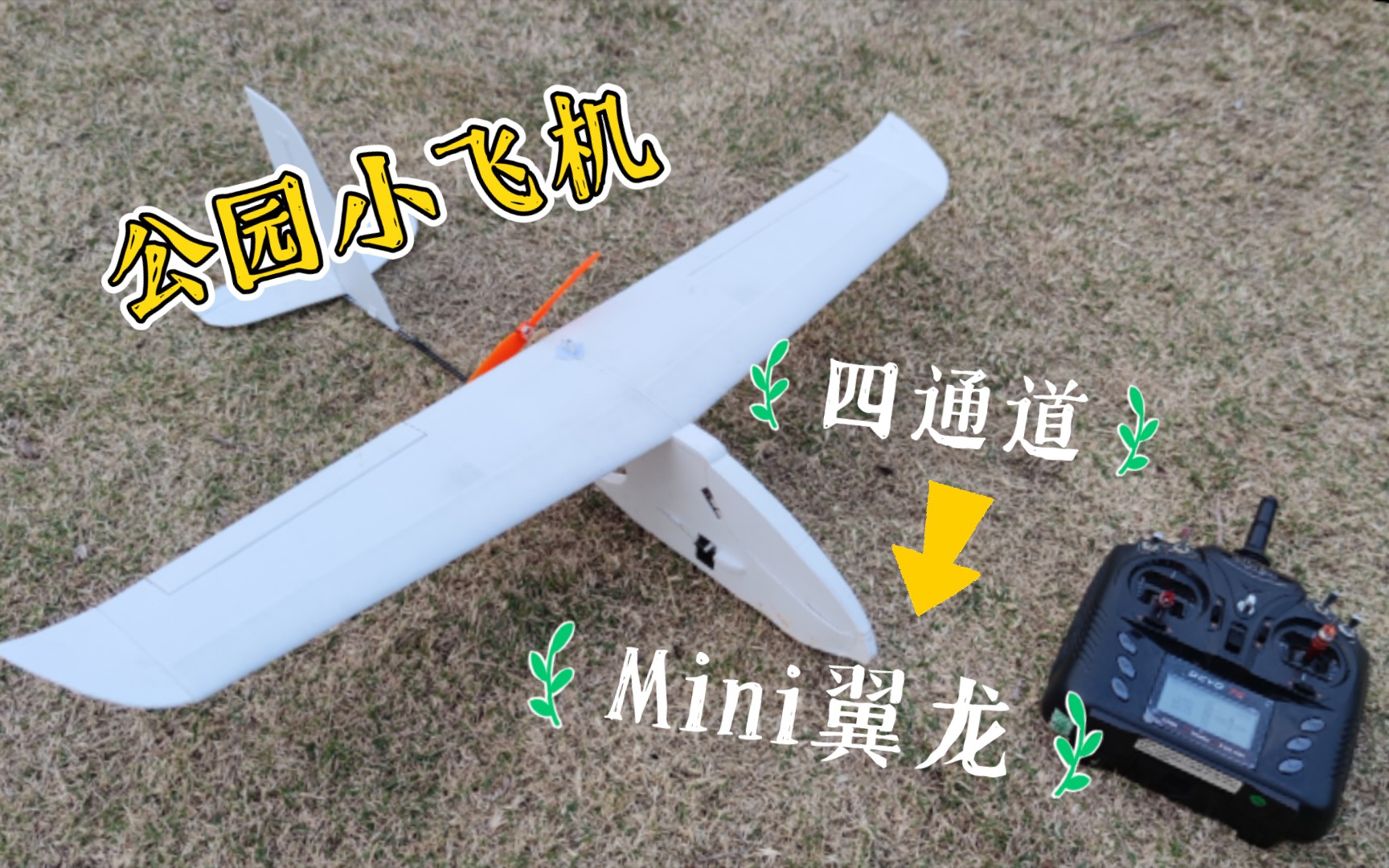 安全好飞的公园小飞机-自制65cm翼展Mini翼龙
