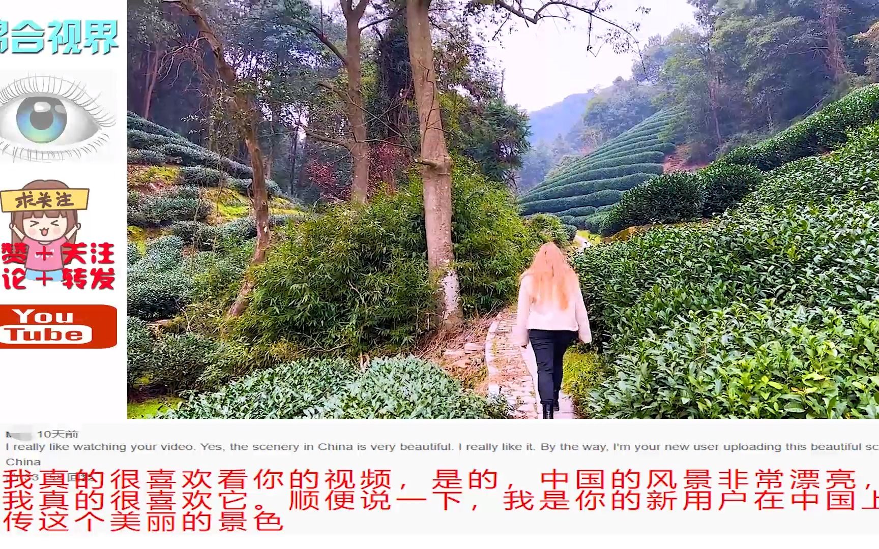 外国博主拍摄浙江杭州乡村茶园，印度网友：动画片里的环境太好了