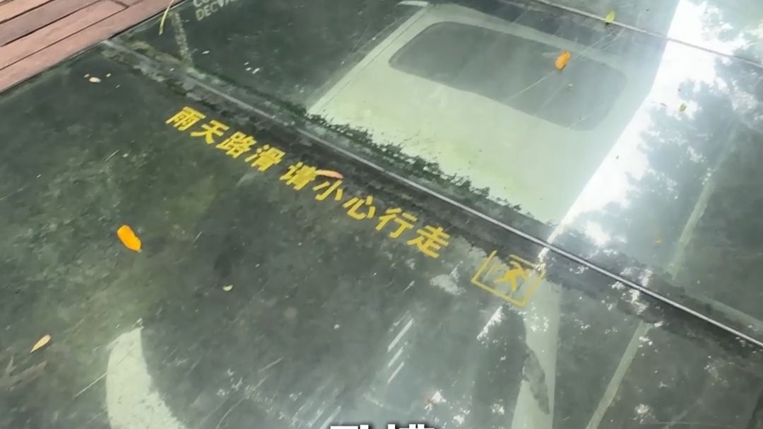 深圳市中心两辆车埋了十几年...车主去哪了？