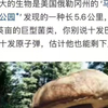 自然界哪些生物可以扛住十发巴雷特
